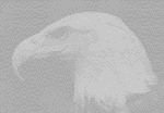 [Fading Eagle - 2.3K]