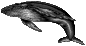 [Right Whale - 2K]