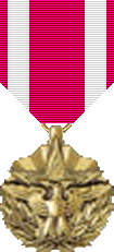 [Meritorious Service Medal - 11K]